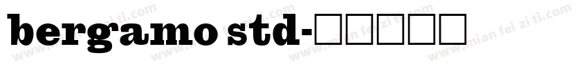 bergamo std字体转换
